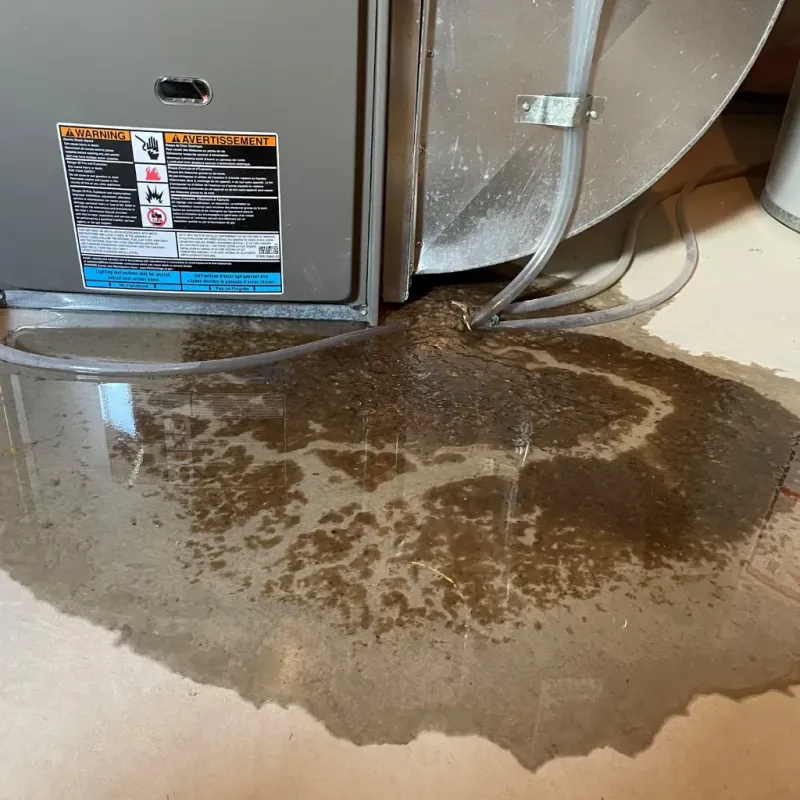 Appliance Leak Cleanup in Jonesboro, AR